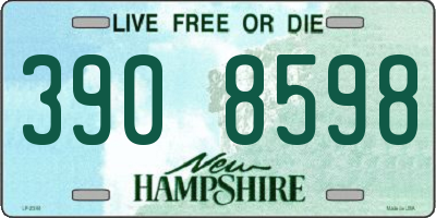 NH license plate 3908598