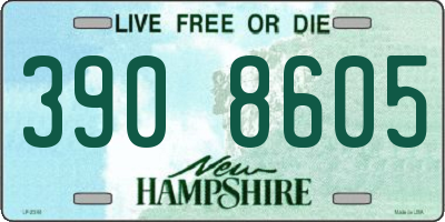 NH license plate 3908605