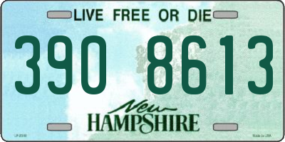 NH license plate 3908613