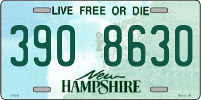NH license plate 3908630