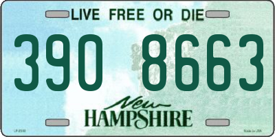 NH license plate 3908663