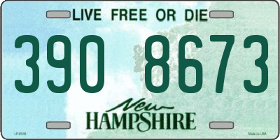 NH license plate 3908673