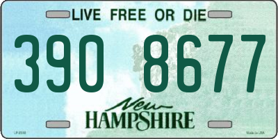NH license plate 3908677