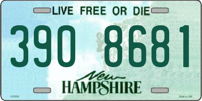 NH license plate 3908681