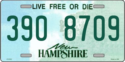 NH license plate 3908709