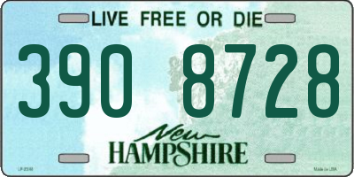 NH license plate 3908728