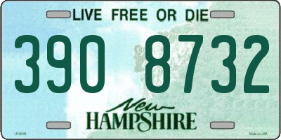 NH license plate 3908732