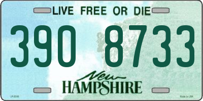 NH license plate 3908733
