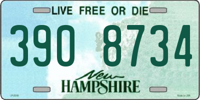 NH license plate 3908734