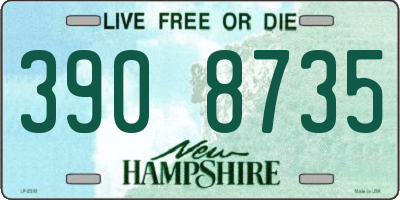 NH license plate 3908735