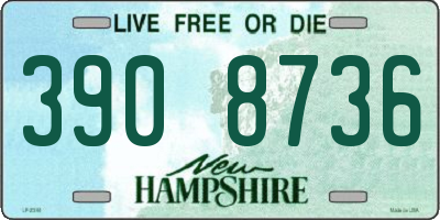 NH license plate 3908736