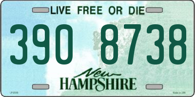 NH license plate 3908738