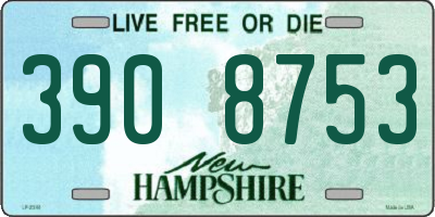 NH license plate 3908753