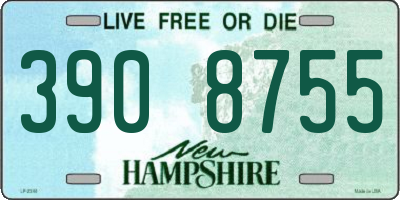 NH license plate 3908755
