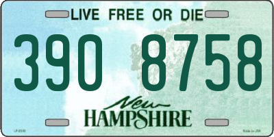 NH license plate 3908758