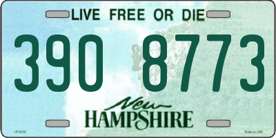 NH license plate 3908773