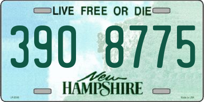 NH license plate 3908775