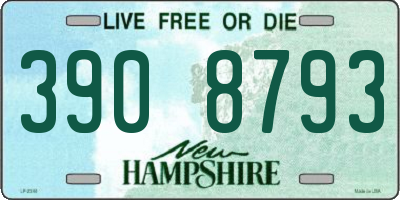 NH license plate 3908793