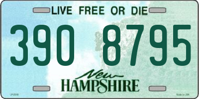 NH license plate 3908795