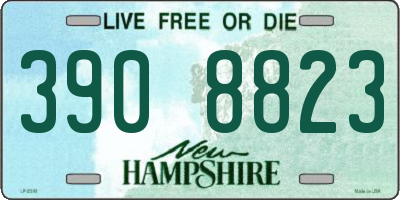 NH license plate 3908823