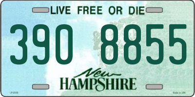 NH license plate 3908855