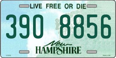 NH license plate 3908856