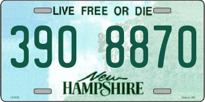 NH license plate 3908870