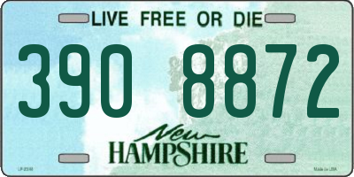 NH license plate 3908872