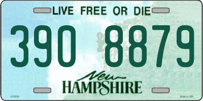 NH license plate 3908879