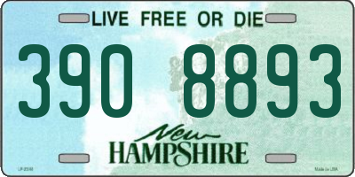 NH license plate 3908893