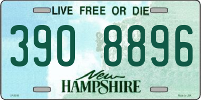 NH license plate 3908896