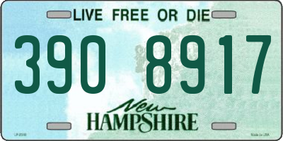 NH license plate 3908917