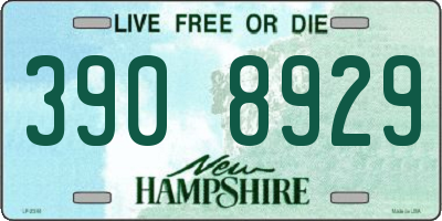 NH license plate 3908929