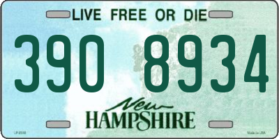 NH license plate 3908934