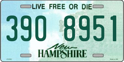 NH license plate 3908951