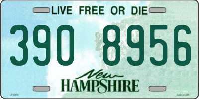 NH license plate 3908956