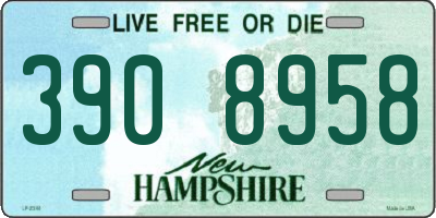 NH license plate 3908958