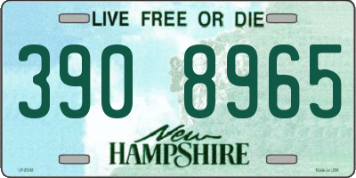 NH license plate 3908965