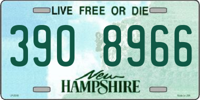 NH license plate 3908966