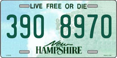 NH license plate 3908970
