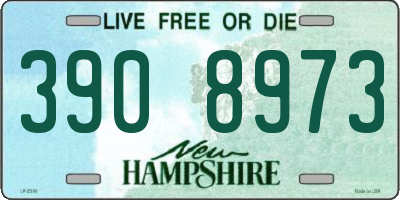 NH license plate 3908973