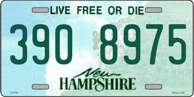 NH license plate 3908975