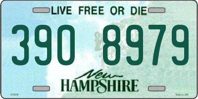 NH license plate 3908979