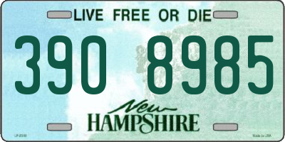 NH license plate 3908985