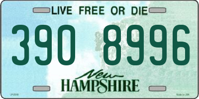 NH license plate 3908996
