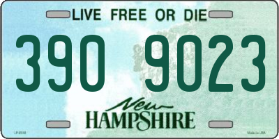 NH license plate 3909023