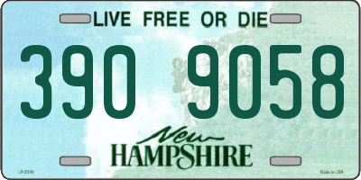 NH license plate 3909058