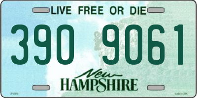 NH license plate 3909061