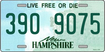 NH license plate 3909075
