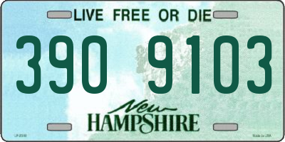 NH license plate 3909103